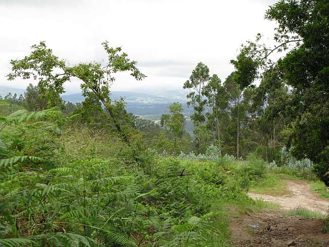 Rubiães to Valença